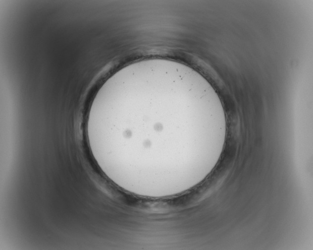 X0000115140395200911241510