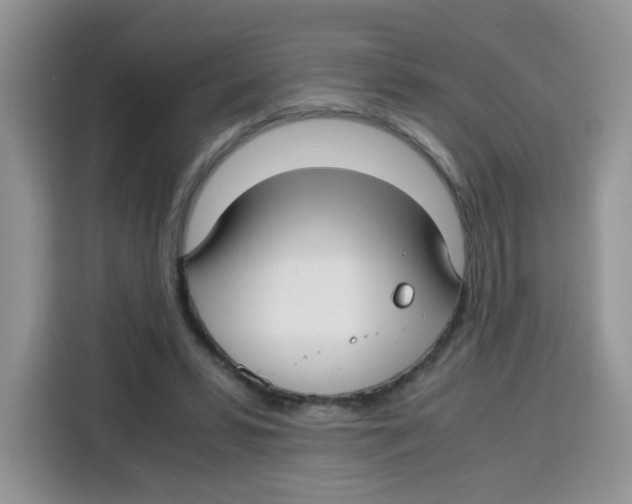 X0000115140399200911241510