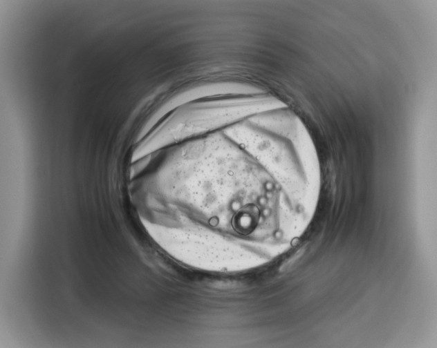X0000115140400200911241510