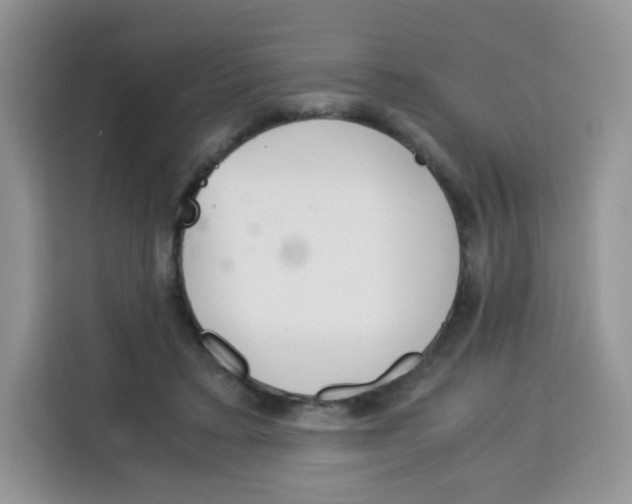 X0000115140403200911241510