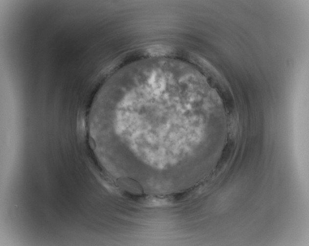 X0000115140405200911241510