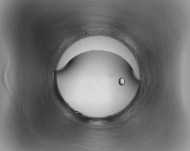 X0000115140407200911241510