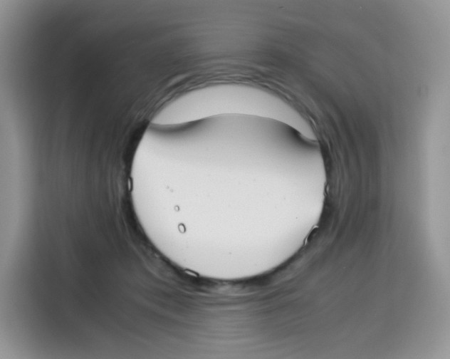 X0000115140413200911241510