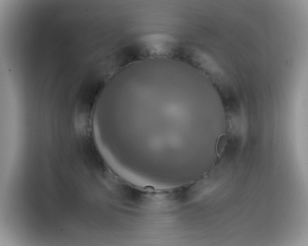 X0000115140419200911241509