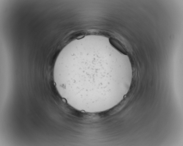 X0000115140421200911241509