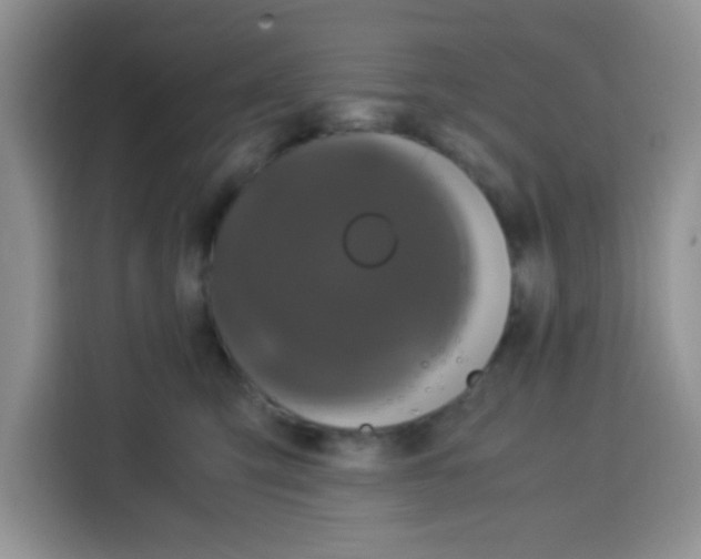 X0000115140423200911241509