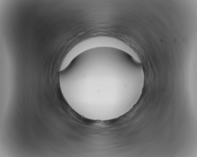 X0000115140425200911241509