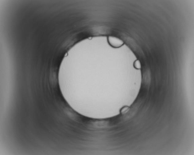X0000115140426200911241509
