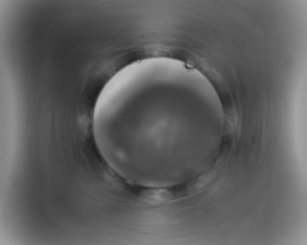 X0000115140427200911241509