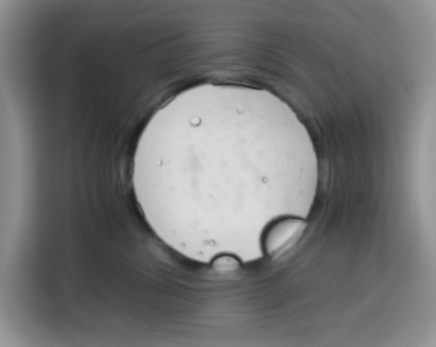 X0000115140428200911241509