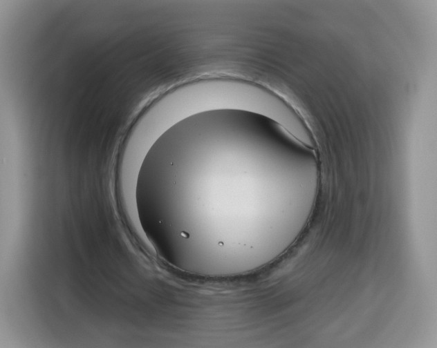 X0000115140434200911241509