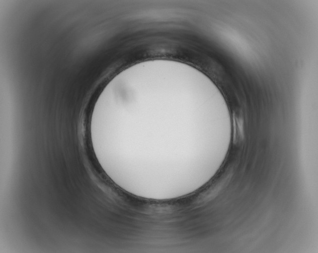 X0000115140435200911241509