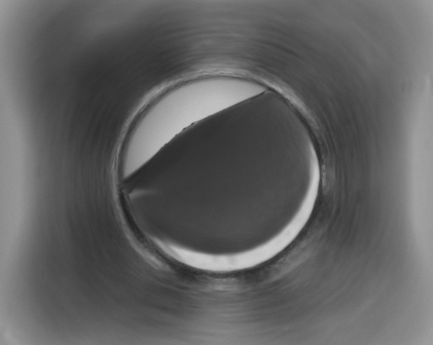 X0000115140438200911241509