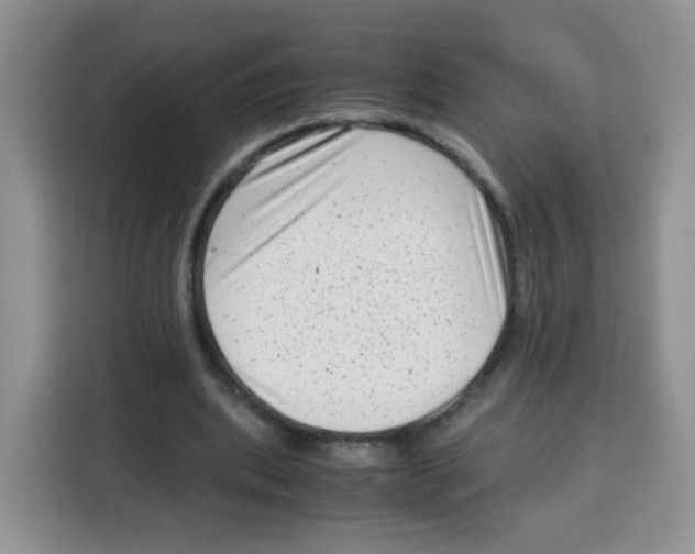 X0000115140439200911241509