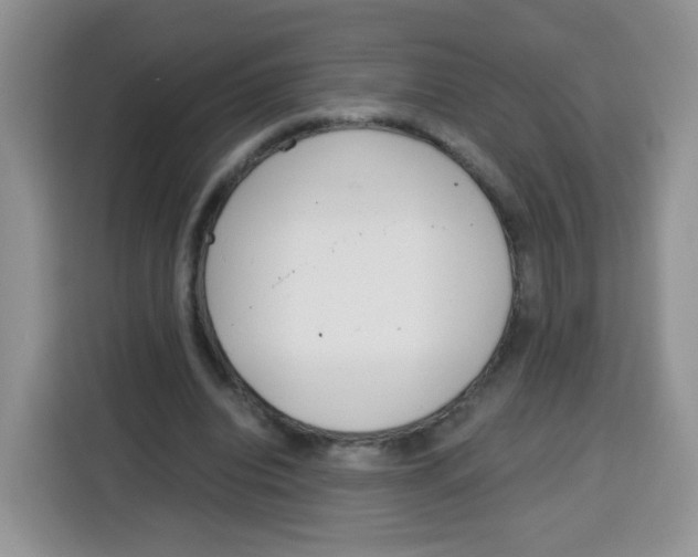 X0000115140440200911241509