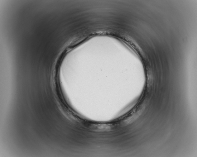 X0000115140443200911241509