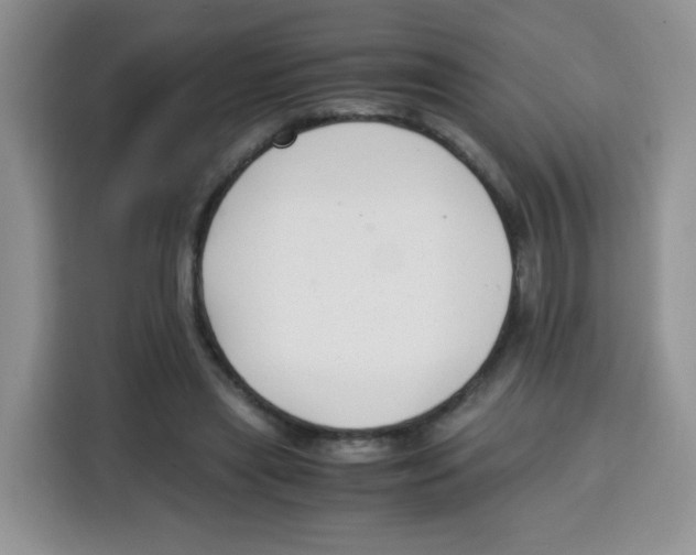 X0000115140445200911241509