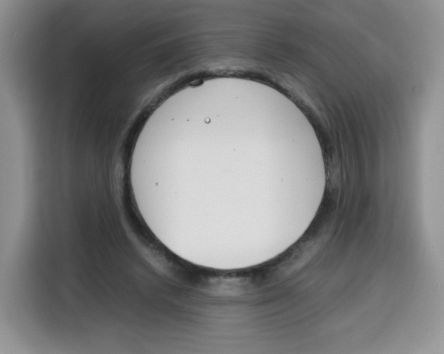 X0000115140448200911241509