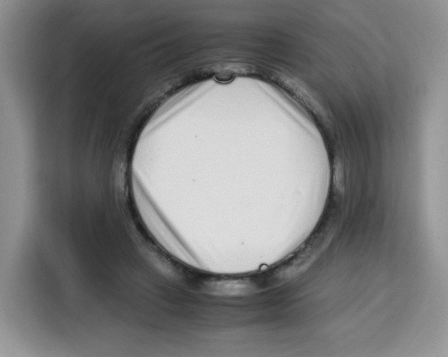 X0000115140449200911241509