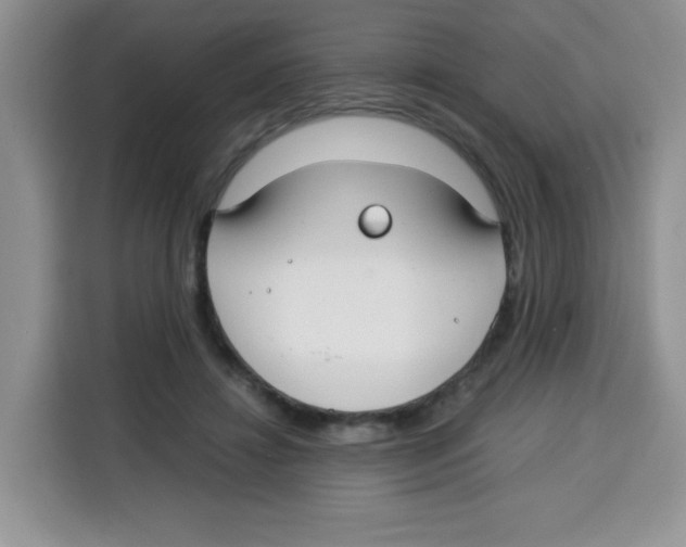 X0000115140452200911241509