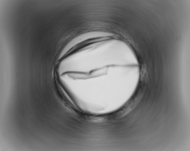 X0000115140454200911241509