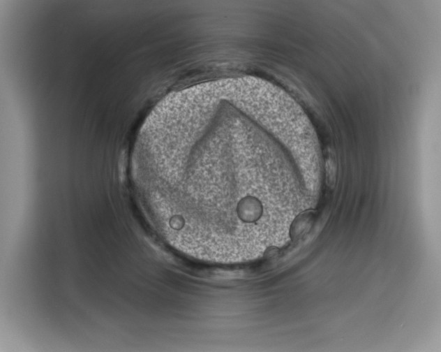 X0000115140458200911241509