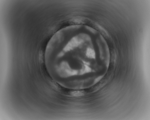 X0000115140465200911241509