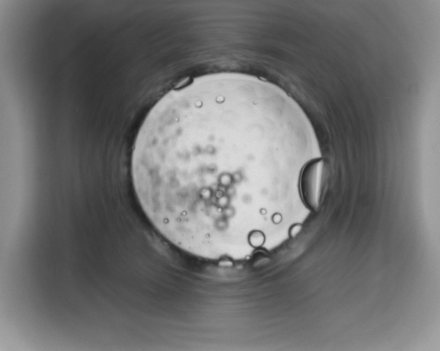 X0000115140466200911241509