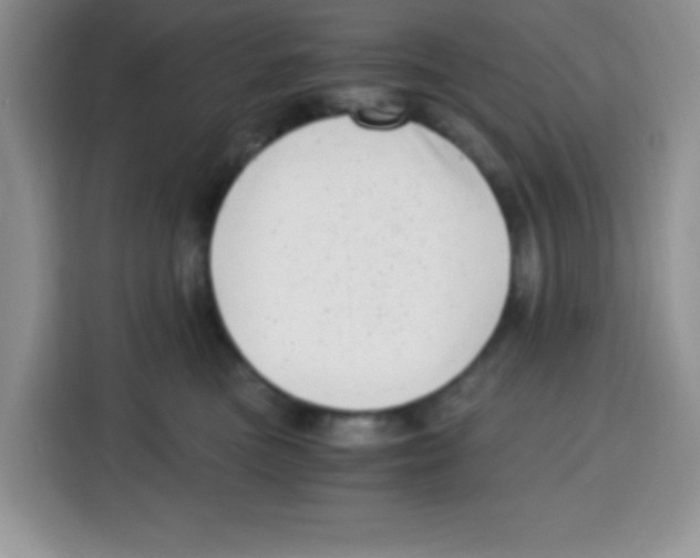 X0000115140473200911241509