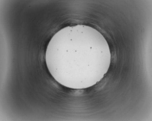 X0000115140474200911241509