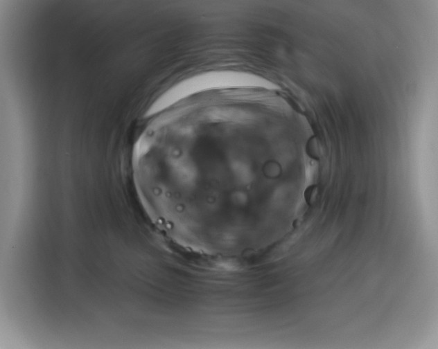 X0000115140475200911241509