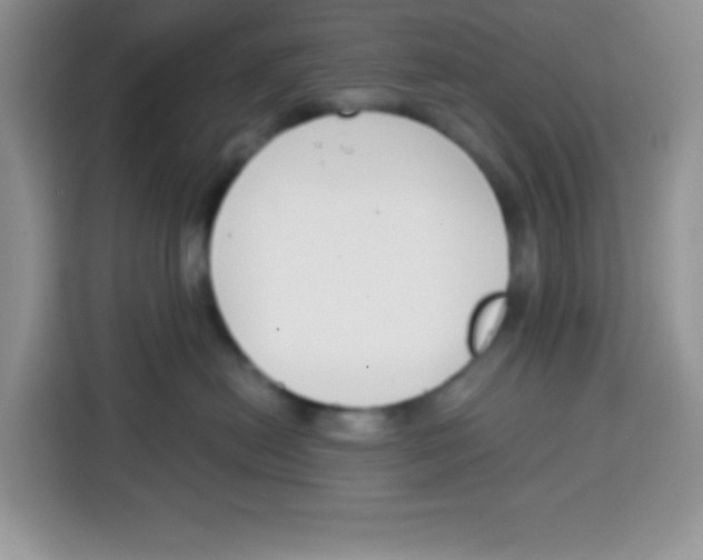 X0000115140478200911241509