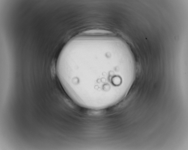 X0000115140479200911241509