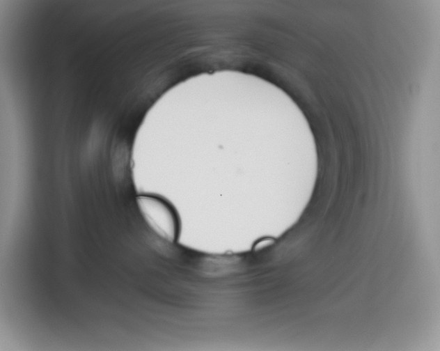 X0000115140480200911241509