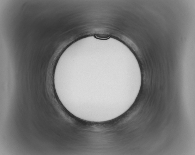 X0000115140481200911241509