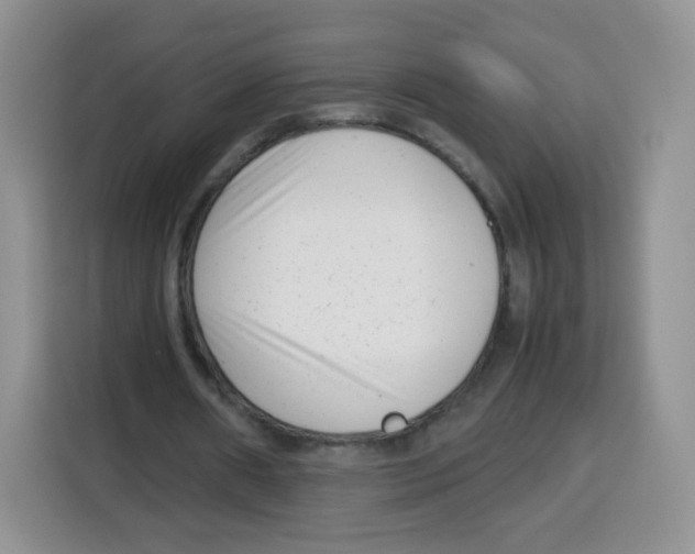 X0000115140482200911241509