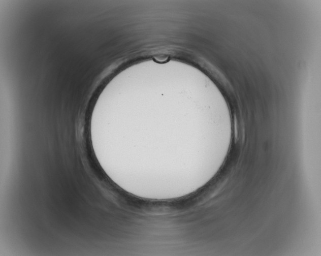 X0000115140483200911241509