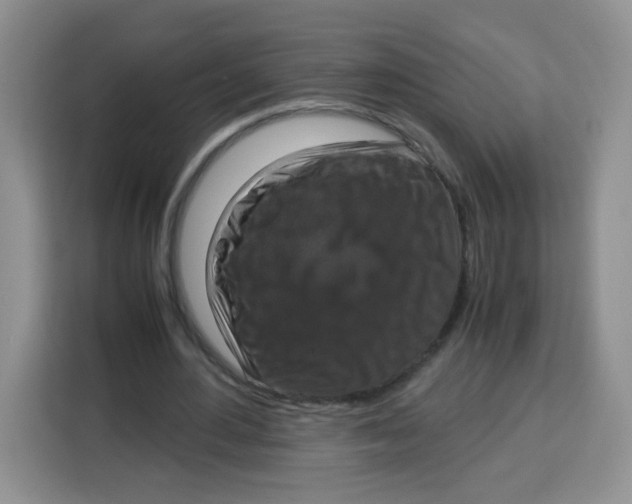 X0000115140484200911241509