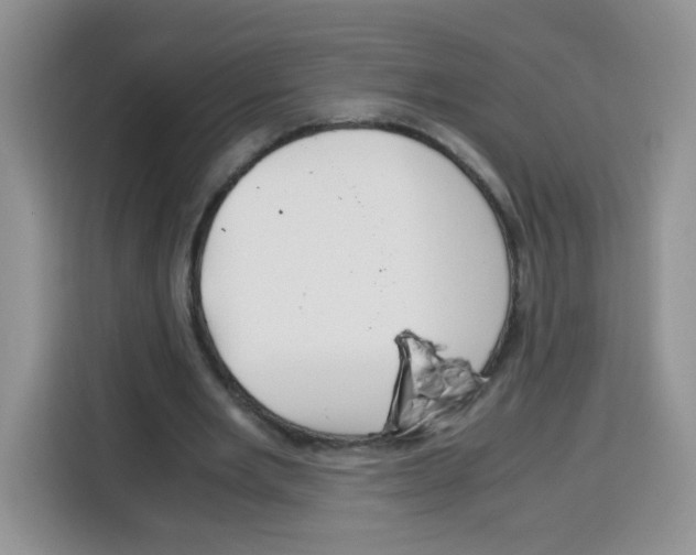 X0000115140485200911241509