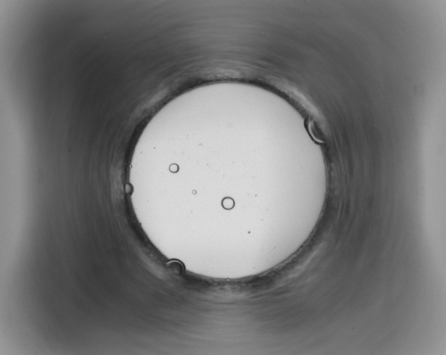 X0000115140489200911241509