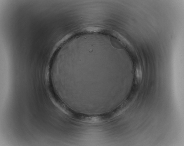 X0000115140492200911241509