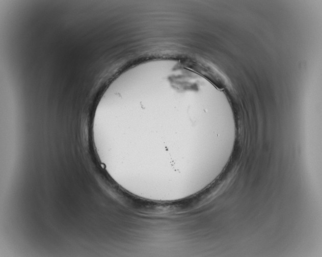 X0000115140493200911241509
