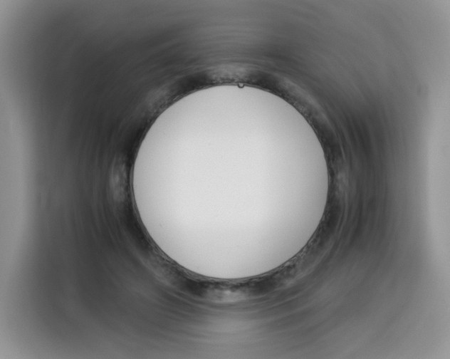 X0000115140498200911241508