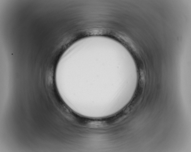 X0000115140499200911241508