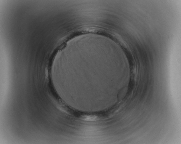 X0000115140500200911241508