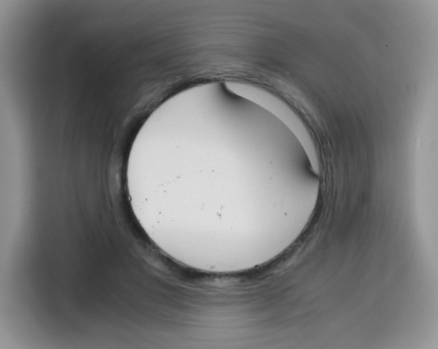 X0000115140501200911241508