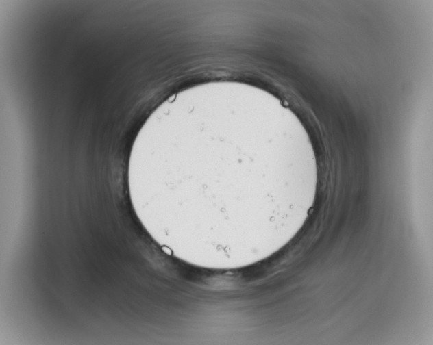 X0000115140505200911241508
