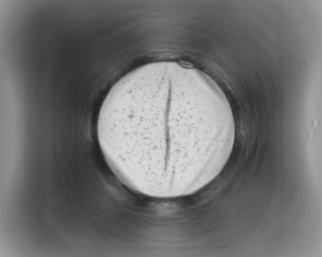 X0000115140512200911241508
