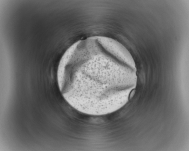 X0000115140520200911241508