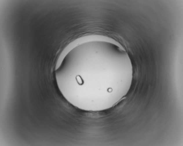X0000115140524200911241508
